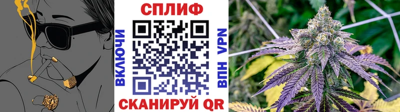 Сколько стоит Гусиноозёрск Конопля  APVP  Кокаин  Гашиш  Меф мяу мяу 